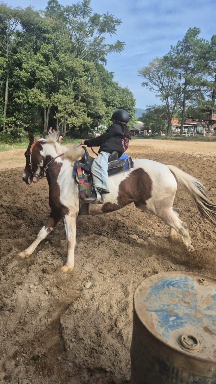 Passeio de Cavalo