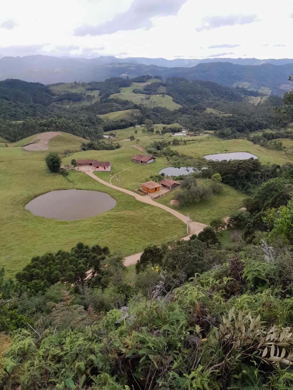 Vista panorâmica